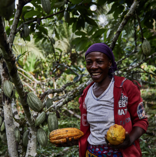 Virunga Origins | Chocolate from Congo