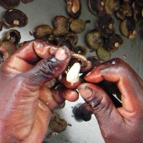 Cashew nuts from Burkina Faso