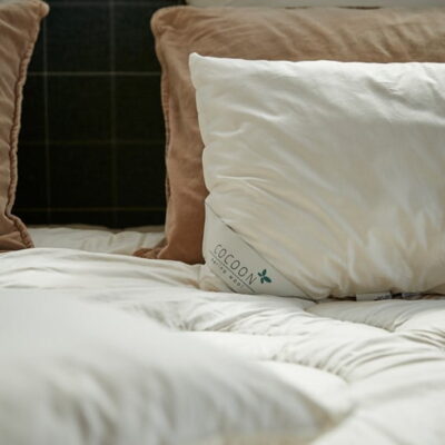 Cocoon Company Wool adult pillow