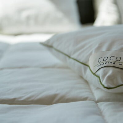 Cocoon Company Amazing Maize